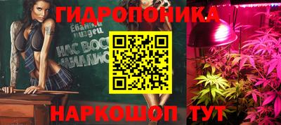 гидра Будённовск