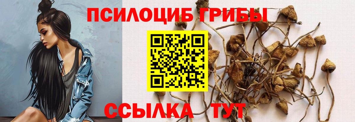 Псилоцибиновые грибы ЛСД  Вход с VPN  Семилуки 