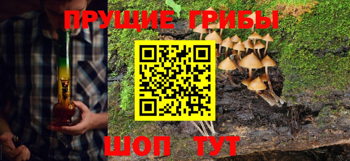 Галлюциногенные грибы Magic Shrooms Семилуки